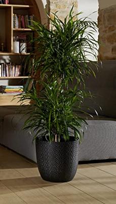 Eda opal chape Ø 29,5 cm - volume 14,8 l - zwart