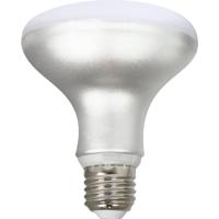 Ledlamp Silver Electronics R90 E27 Wit Grijs A++ 12 W (5000 K) - thumbnail