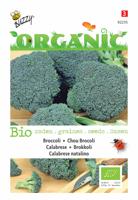 Zaden Organic Broccoli Calabrese natalino (BIO) Buzzy - Buzzy - thumbnail