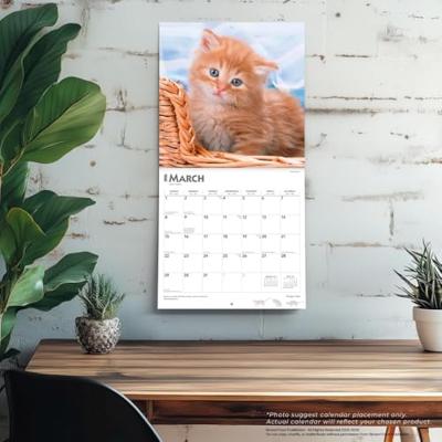Rode Katten Kalender 2026