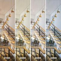 Ledlamp Silver Electronics 5000K - thumbnail