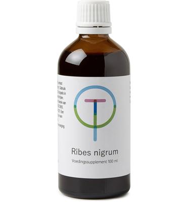 Ribes nigrum