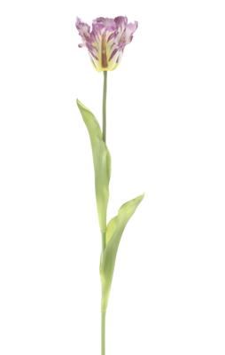 PSO Single parrot spray Sally purple 71 cm kunstbloem Erutan Avon - Erutan avon
