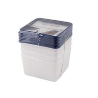 Westmark diepvriesdoos 4st 0.50ltr - thumbnail