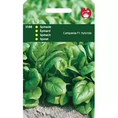 Zaden Spinazie Campania F1 50g Tuinplus - Tuinplus