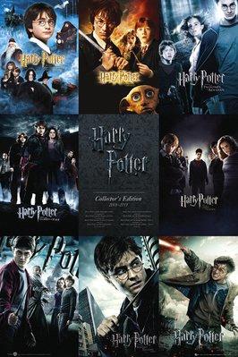 Poster Harry Potter - Collection 61x91,5cm