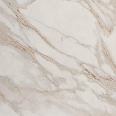 Roma Stone Calacatta Oro mat 120x120 rett