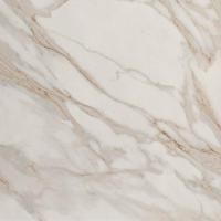 Roma Stone Calacatta Oro mat 120x120 rett - thumbnail