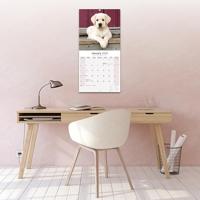 Labrador Retriever Blond Puppies Kalender 2026 - thumbnail