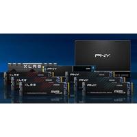 PNY - CS2140 - SSD - 1 TB - M.2 - thumbnail