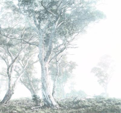Noordwand Komar Raw Fotobehang Magic Trees - R3-023
