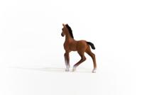 Schleich horse club oldenburger veulen 13947 - thumbnail