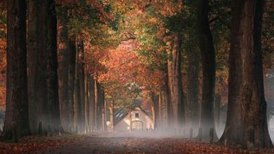 Tuinschilderij ochtenddauw 130x70cm Customize-it - Customize it