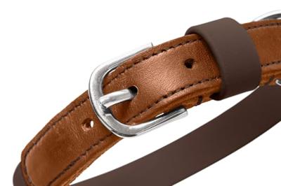 HUNTER Hondenhalsband Wolmar, chocoladebruin/cognac, Maat: 65