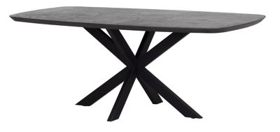 DTP Home Deens Ovale Eettafel 'Vito' Mortex, 200 x 100cm DTP Home Deens Ovale Eettafel 'Vito' Mortex, 200 x 100cm
