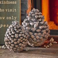 Sierdennenappel set van 2 Nalla - thumbnail