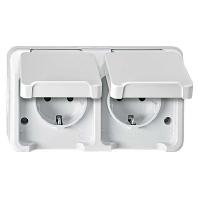 Merten 4074947 AquaStar Compleet Wandcontactdoos met randaarde en klapdeksel spatwaterdicht Lichtgrijs 2-voudig 1 stuk(s) - thumbnail