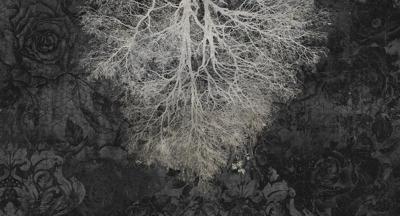 Muance Muance Fotobehang Expansion theory - MU12032