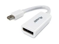 Equip Mini DisplayPort auf DisplayPort Adapter wit - thumbnail