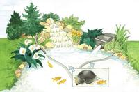 Pondomax eco 5000 Pontec - Pontec - thumbnail