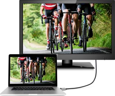 SpeaKa Professional SP-9510452 DisplayPort-kabel DisplayPort Aansluitkabel DisplayPort-stekker, DisplayPort-stekker 3.00 m Zwart 8K UHD SpeaKa Professional SP-9510452 DisplayPort-kabel DisplayPort Aansluitkabel DisplayPort-stekker, DisplayPort-stekker 3.00 m Zwart 8K UHD