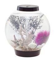 Oase 71999 biOrb CLASSIC 15 LED schwarz Aquarium 15 l Met LED-verlichting - thumbnail