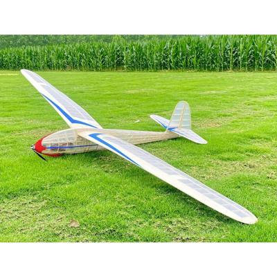 Pichler Modellbau Lippisch G108 RC zweefvliegtuig Bouwpakket 2700 mm