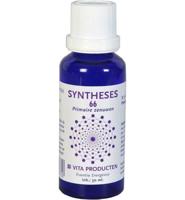 Vita Syntheses 66 primaire zenuwen 30 Milliliter - thumbnail