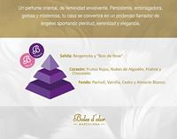 Geurolie Brumas de ambiente 50 ml Angels Charm Boles d'olor - Boles d olor - thumbnail