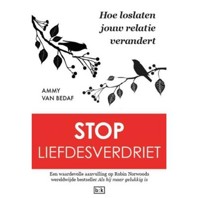 Stop liefdesverdriet (Paperback)