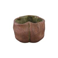 PTMD bloempot roddie rust 12 cm | 12 stuks - thumbnail