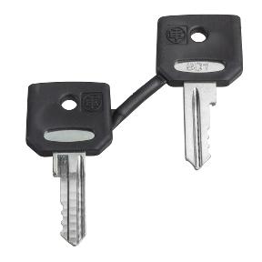 Schneider Electric ZBG455 ZBG455 Sleutel 1 stuk(s) Piece