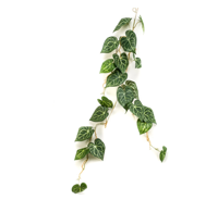 Anthurium vine printed leaves 110 cm kunstplant Emerald - Emerald - thumbnail