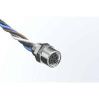 Molex 1200310006 Sensor/actuator connector, geassembleerd Aantal polen (sensoren): 4 Stekker 1 stuk(s) - thumbnail