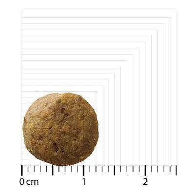 BOZITA Original Puppy & Junior XL Lamb - droog hondenvoer - 12kg