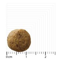 BOZITA Original Puppy & Junior XL Lamb - droog hondenvoer - 12kg - thumbnail