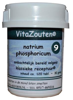 Vita Reform Vitazouten Nr. 9 Natrium Phosphoricum 120st Vita Reform Vitazouten Nr. 9 Natrium Phosphoricum 120st