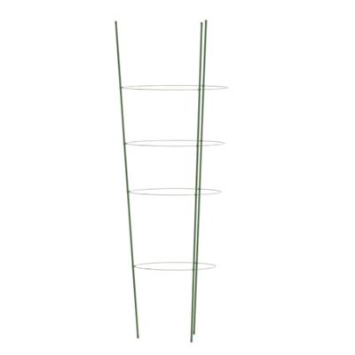 VidaXL Plantensteunen 5 st met 4 ringen 90 cm staal groen