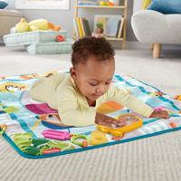 Fisher Price Speelmat - thumbnail