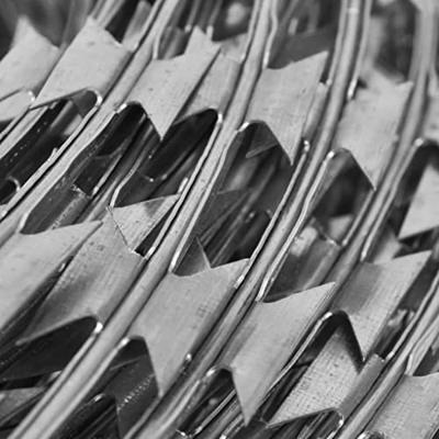 Scheermesprikkeldraad concertina 60 m gegalvaniseerd staal - thumbnail