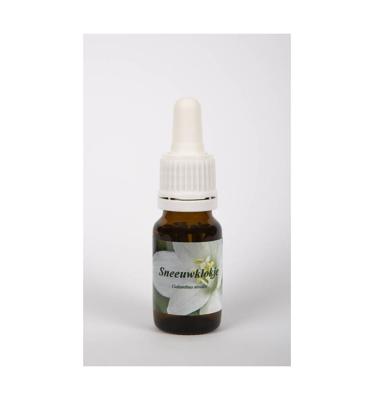 Star Remedies Sneeuwklokje 10 Milliliter Star Remedies Sneeuwklokje 10 Milliliter