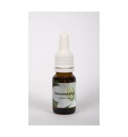Star Remedies Sneeuwklokje 10 Milliliter - thumbnail