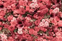 Alexsar Art Tuinschilderij roze rozen 70x50cm - thumbnail