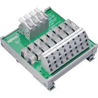 WAGO 830-800/000-319 Potentiaalverdelermodule 3 stuk(s) - thumbnail