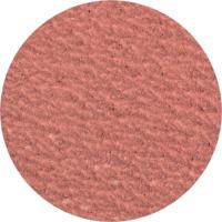 PFERD TOOLS CDR 50 A-COOL 80 42772508 Schuurblad Korrelgrootte (num) 80 (Ø) 50 mm 100 stuk(s) - thumbnail