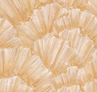 Emil & Hugo Moana 300887 - thumbnail