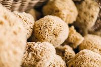 Croll & Denecke Natuur spons voor het lichaam - thumbnail