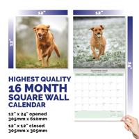 Labrador Retriever Fox Red Kalender 2026 - thumbnail