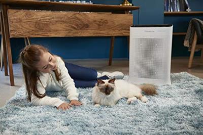 Rowenta Pure Air Nanocaptur luchtreiniger PU3040