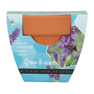 Grow gifts kweekset groeicadeautjelavendel Buzzy - Buzzy Grow gifts kweekset groeicadeautjelavendel Buzzy - Buzzy